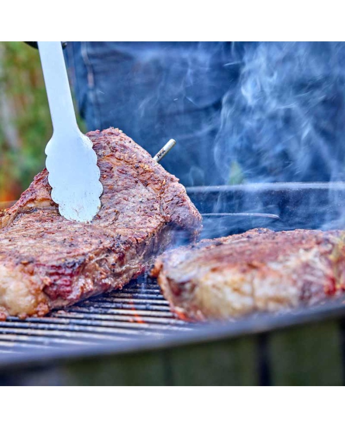 ETI RFX, Trådlös insticksgivare för kött. Används tillsammans med RFX GATEWAY