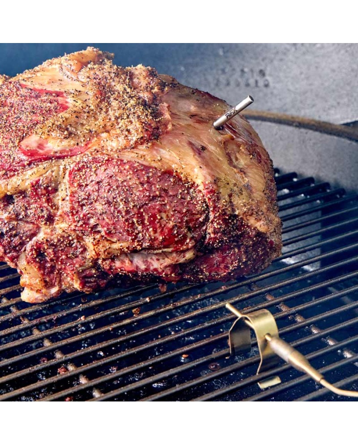 ETI Trådlöst RFX starter-kit med 1st trådlös insticksgivare, mottagare och termometern Thermapen ONE®