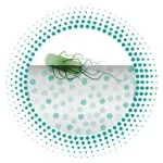 Biocote Antimicrobial Protection